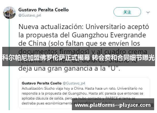 科尔帕尼加盟佛罗伦萨正式揭幕 转会费和合同细节曝光